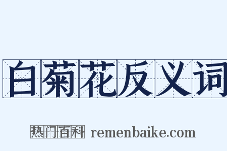 白菊花反义词是什么意思的图片